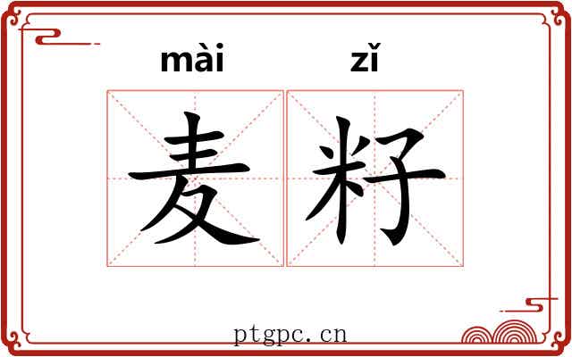 麦籽