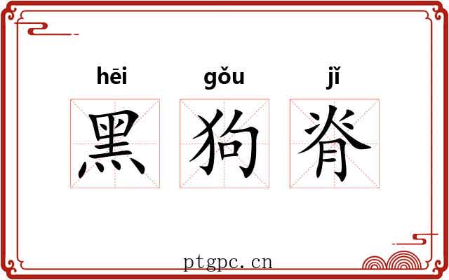 黑狗脊 黑狗脊