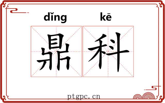 鼎科 鼎科