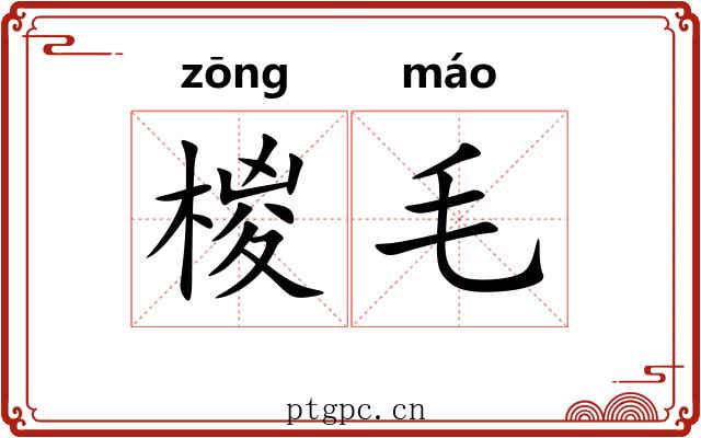 椶毛