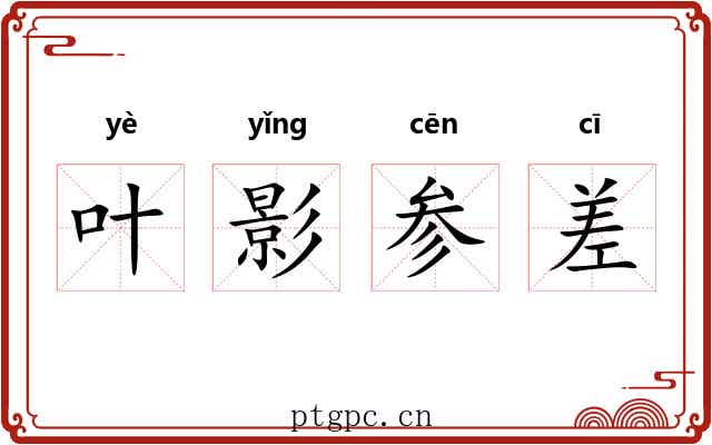 叶影参差 叶影参差