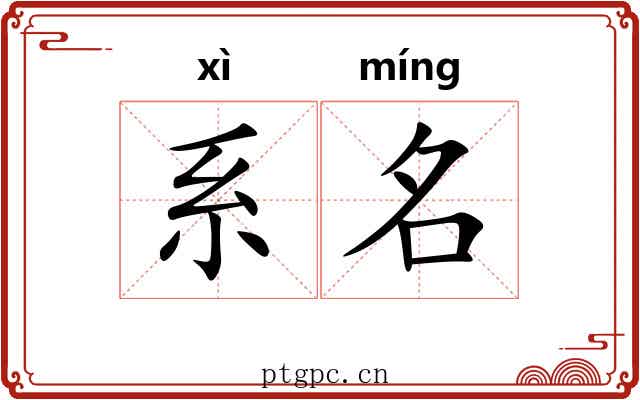 系名 系名