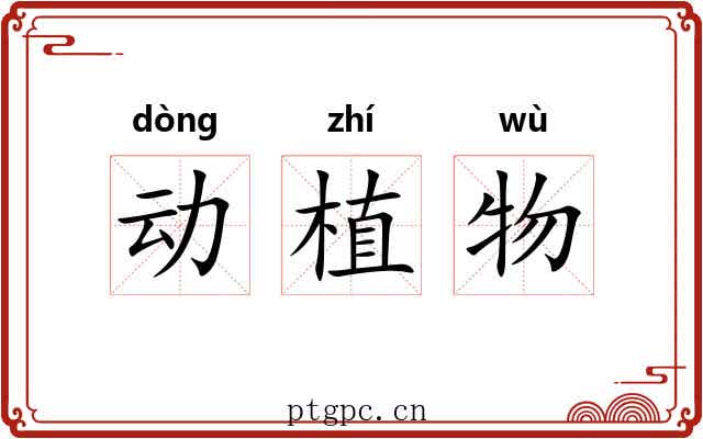 动植物