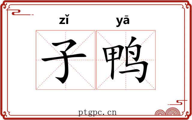 子鸭 子鸭