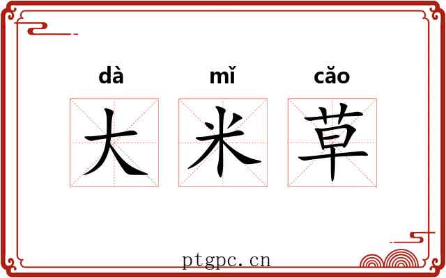 大米草 大米草
