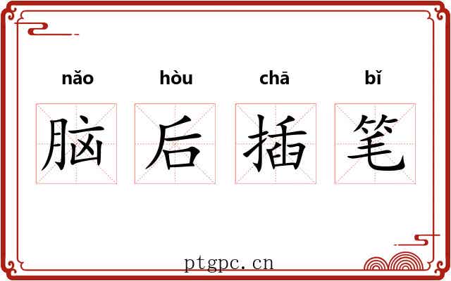 脑后插笔