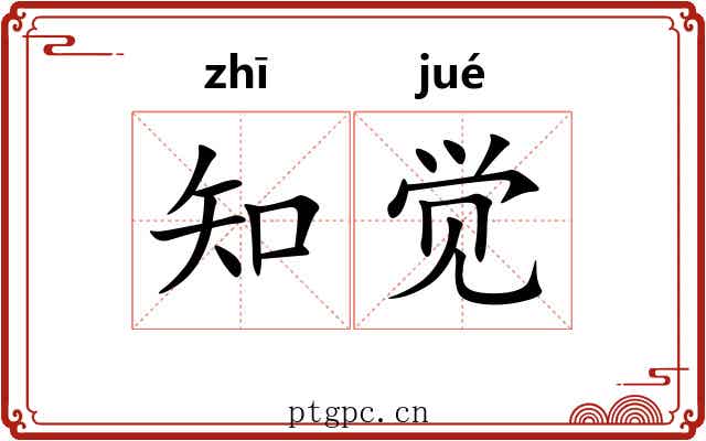 知觉 知觉