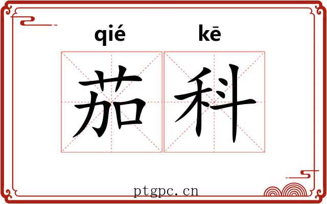 茄科