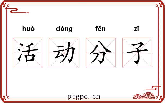 活动分子 活动分子