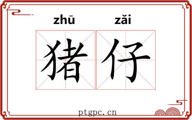 猪仔 猪仔