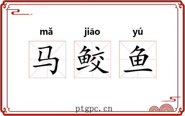 马鲛鱼 马鲛鱼