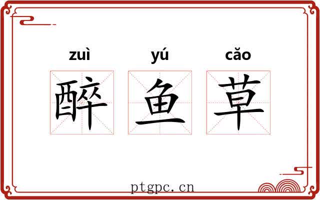 醉鱼草
