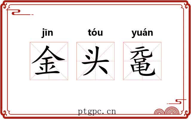 金头鼋 金头鼋