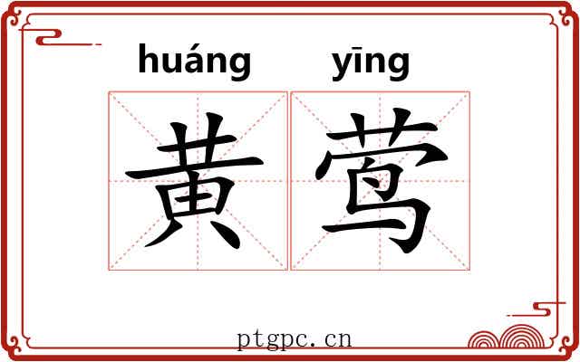 黄莺