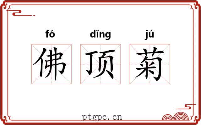 佛顶菊