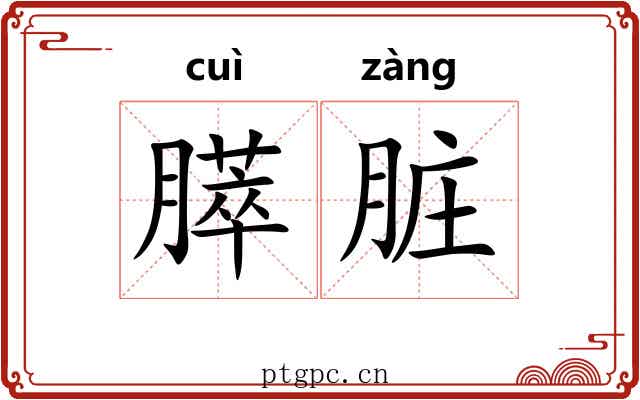 膵脏