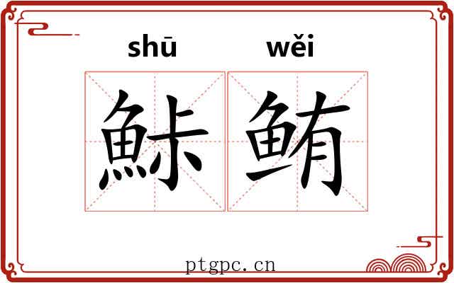 鮛鲔