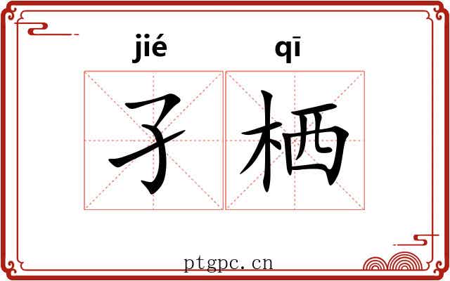 孑栖