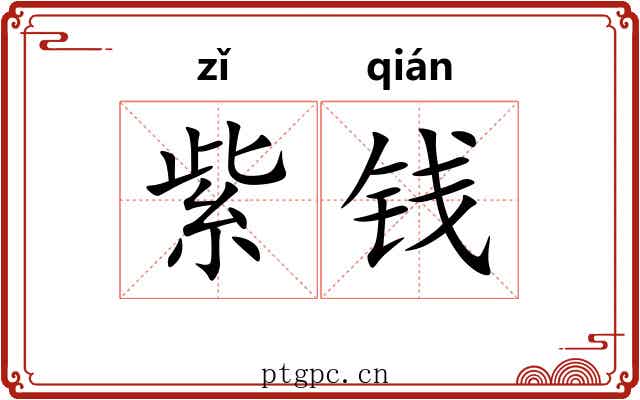 紫钱 紫钱
