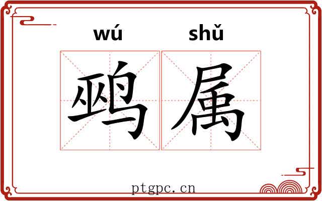 鹀属 鹀属