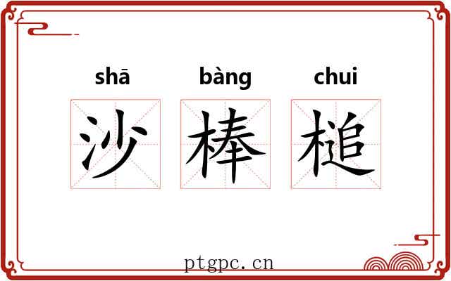 沙棒槌 沙棒槌