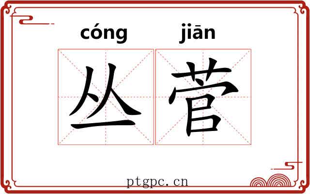 丛菅