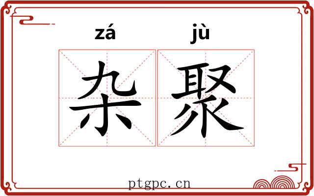 杂聚