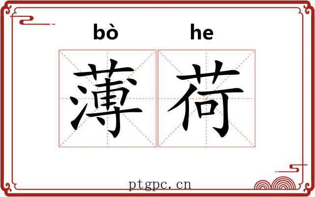 薄荷 薄荷