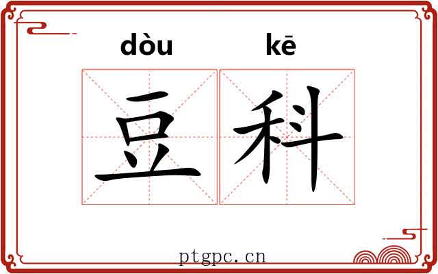 豆科 豆科