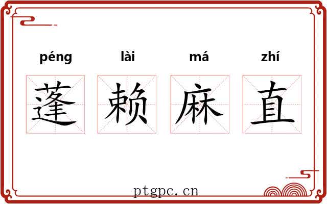 蓬赖麻直
