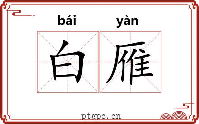 白雁