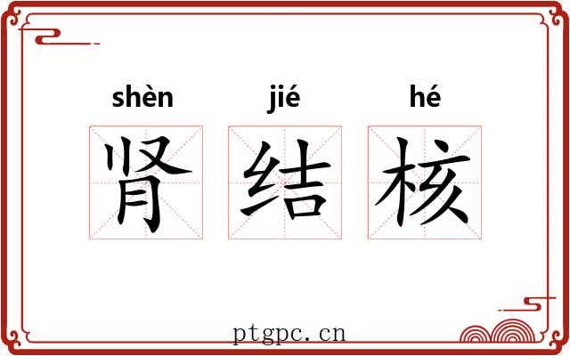 肾结核