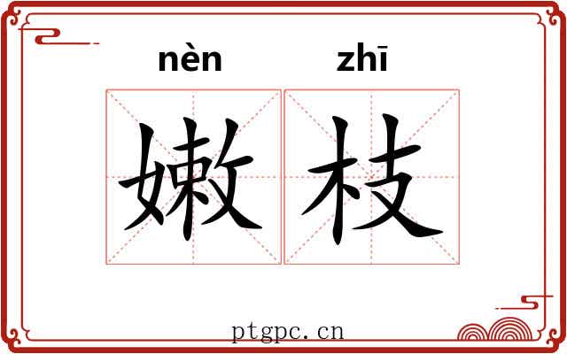 嫩枝