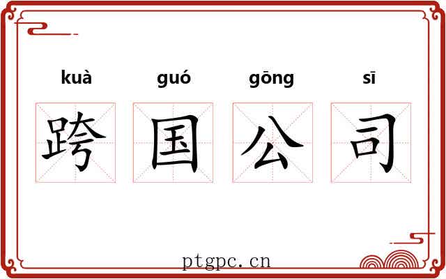 跨国公司 跨国公司