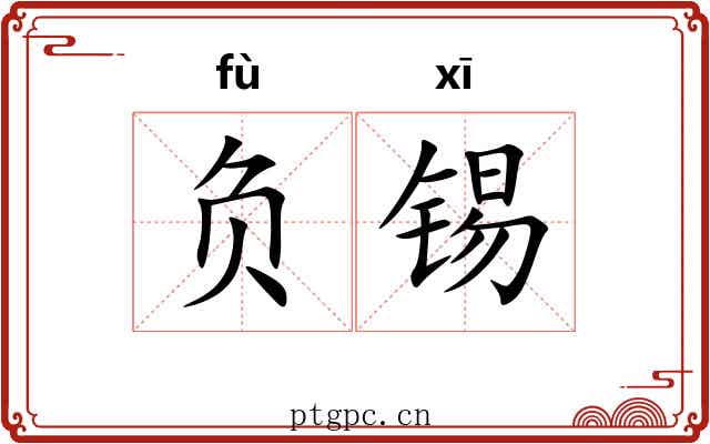 负锡 负锡