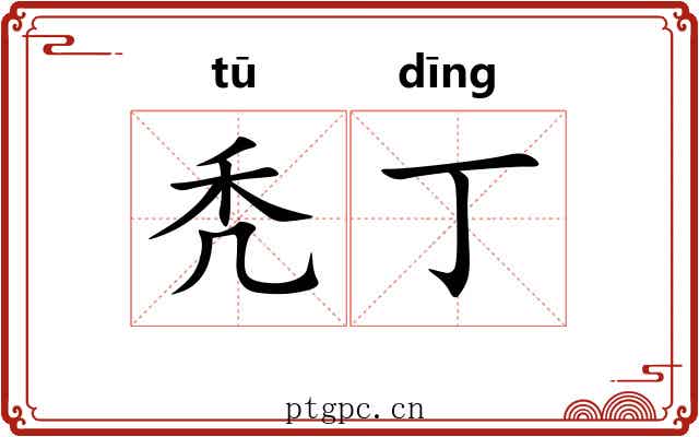 秃丁