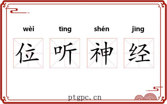 位听神经 位听神经