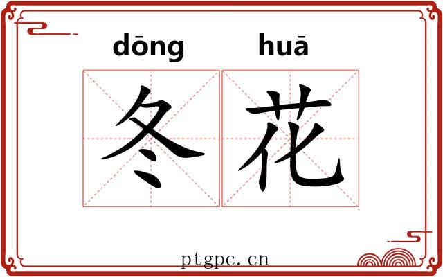 冬花 冬花
