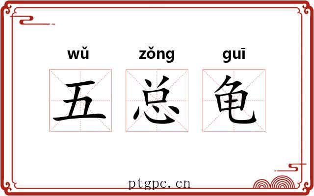 五总龟 五总龟