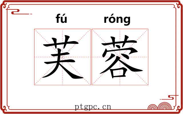 芙蓉