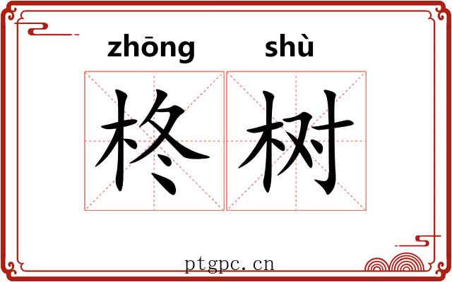 柊树