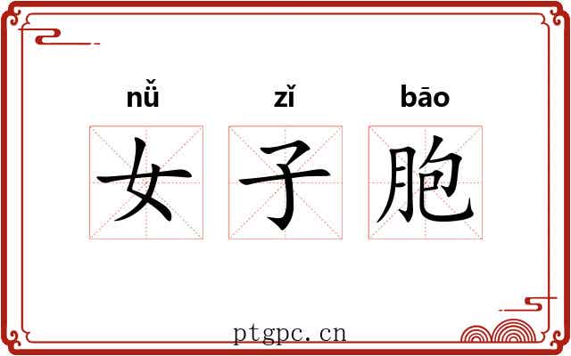 女子胞