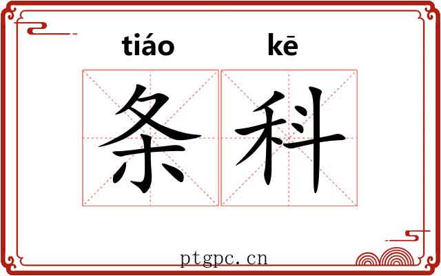 条科