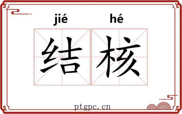结核 结核