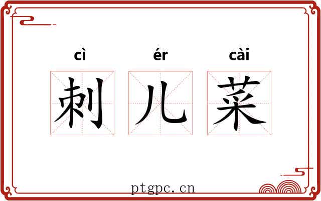 刺儿菜