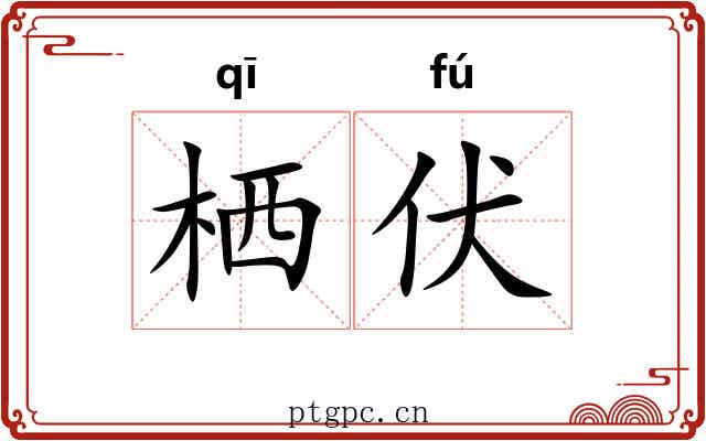 栖伏