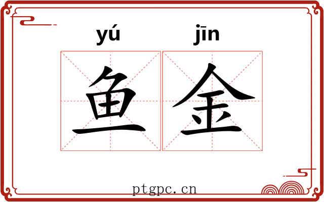 鱼金