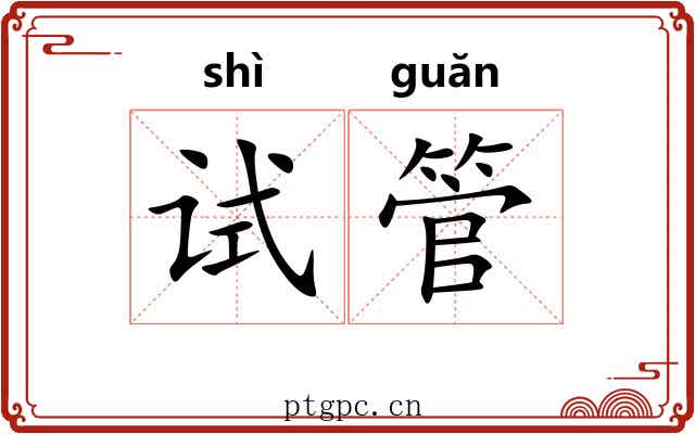 试管