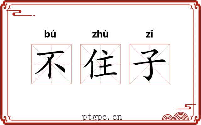 不住子
