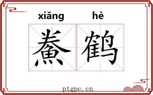 鮝鹤